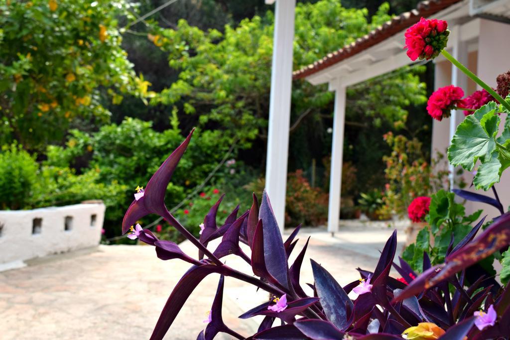 Eden Sea View Studios Mesongi Bagian luar foto