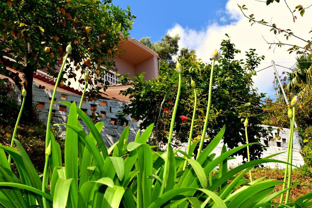 Eden Sea View Studios Mesongi Bagian luar foto