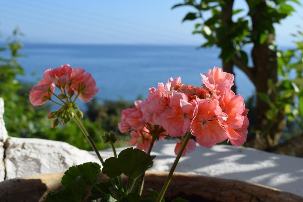 Eden Sea View Studios Mesongi Bagian luar foto